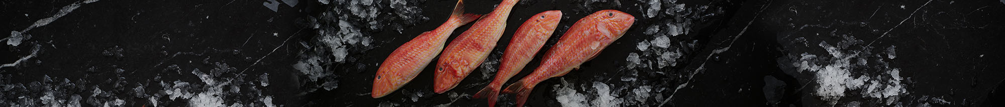 Seafood
