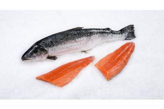 Organic Norwegian Salmon Fillet