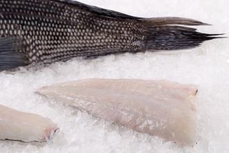 Black Sea Bass Fillet