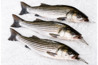 Striped Bass Whole