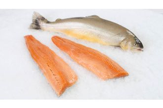 Arctic Char Fillet