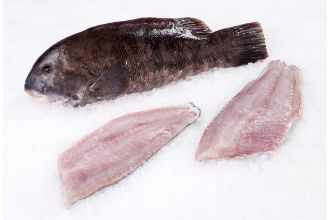 Blackfish Fillet