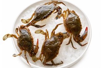 Fresh Wild Soft-Shell Crabs