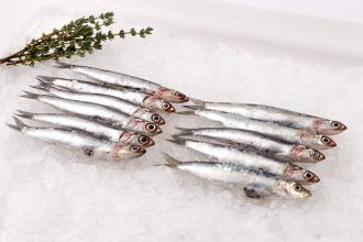 European Anchovies