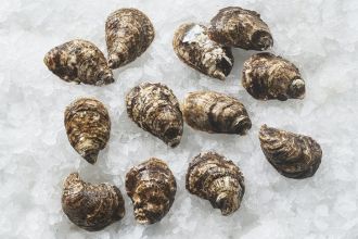 Bad Boy Oysters