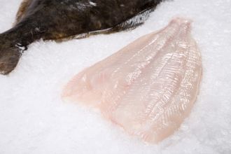 Halibut Fillet