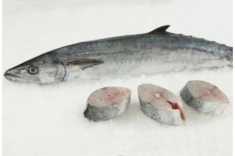 King Mackerel Steak