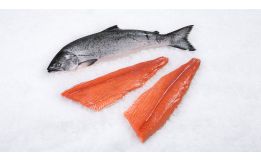 King Salmon Fillet