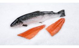 Organic Norwegian Salmon Fillet