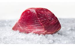 Red Bluefin Tuna
