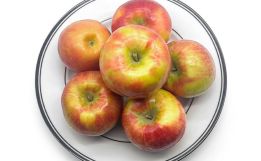 Fresh Honeycrisp Apples