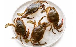 Fresh Wild Soft-Shell Crabs