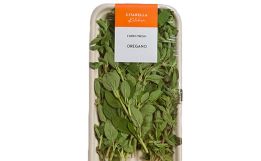 Fresh Oregano