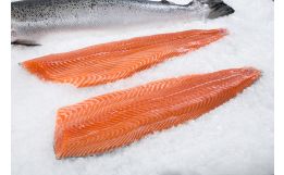 Norwegian Organic Salmon Fillet