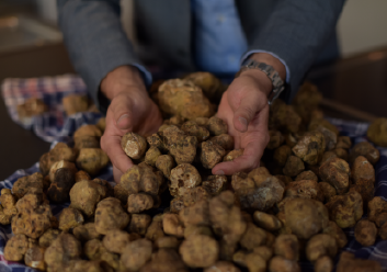 Winter Truffles – From Italy with Love