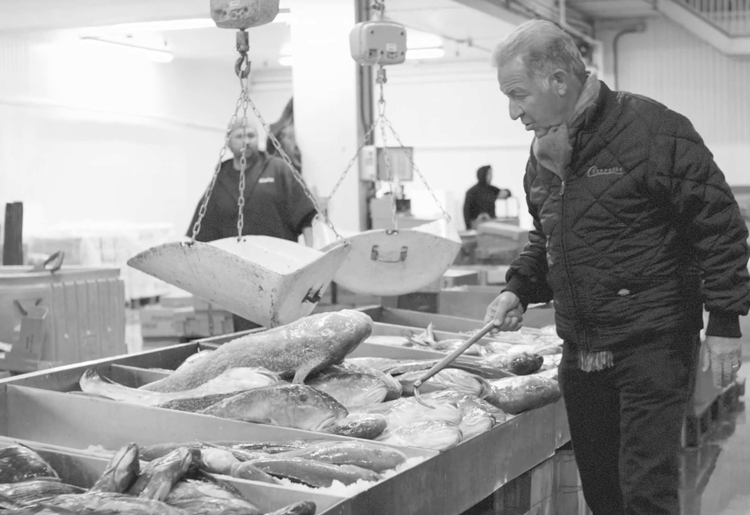 Joe in the market