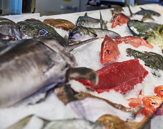 Seafood on ice