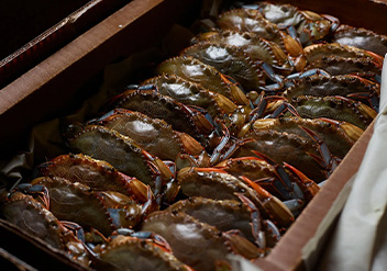 Citarella fresh raw seafood bar