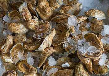 Feast your eyes on these South Fork fish markets for your Feast of the Seven Fish dinner