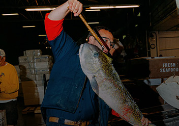 At America&rsquo;s Biggest Fish Market, 3 A.M. Is Prime Time