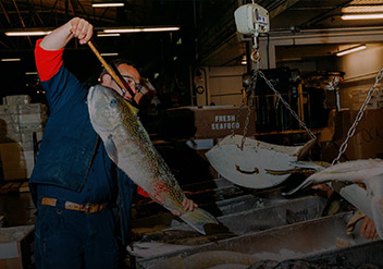 At America&rsquo;s Biggest Fish Market, 3 A.M. Is Prime Time